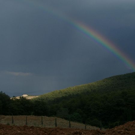 Agriturismo La Provenca Chianciano Terme Buitenkant foto