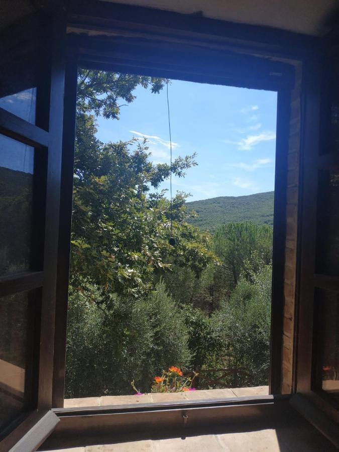Agriturismo La Provenca Chianciano Terme Buitenkant foto