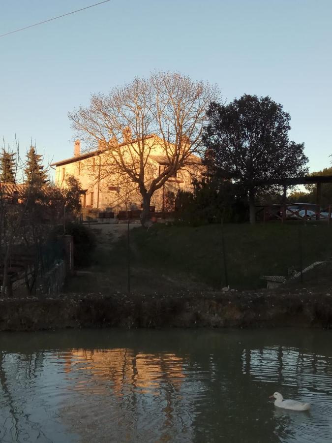 Agriturismo La Provenca Chianciano Terme Buitenkant foto