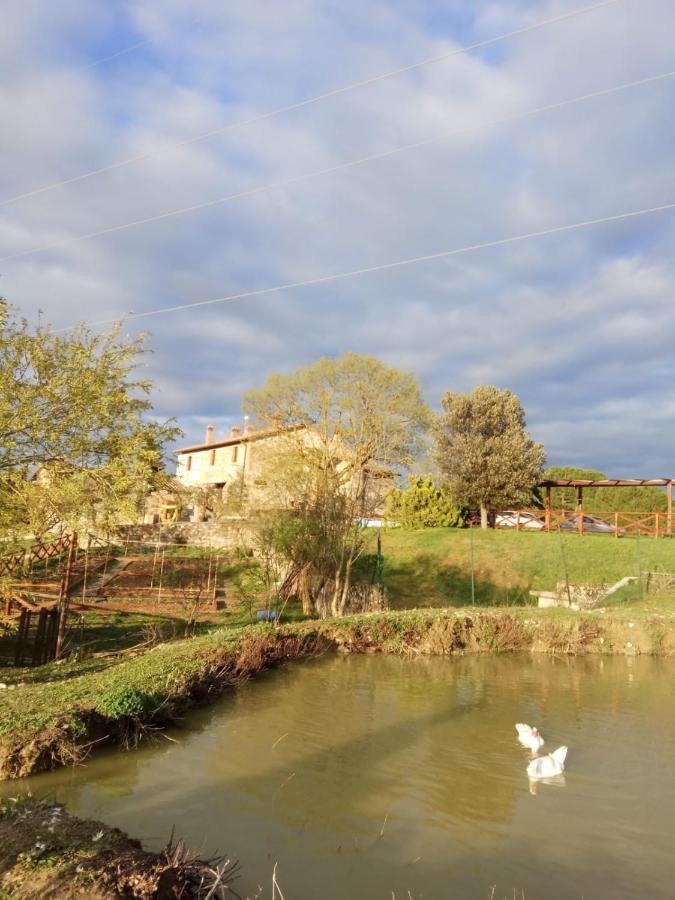 Agriturismo La Provenca Chianciano Terme Buitenkant foto