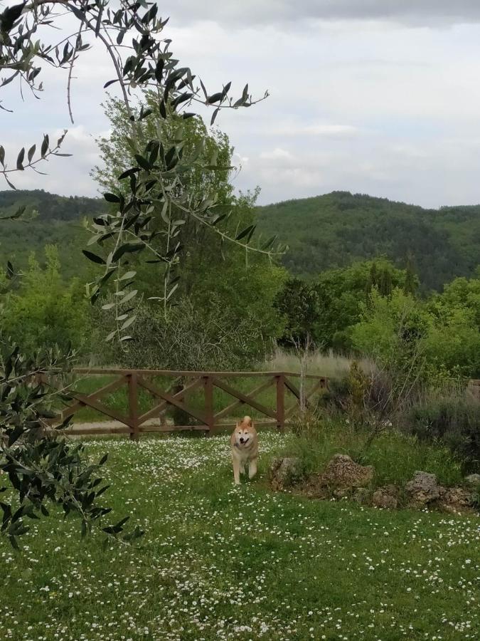 Agriturismo La Provenca Chianciano Terme Buitenkant foto