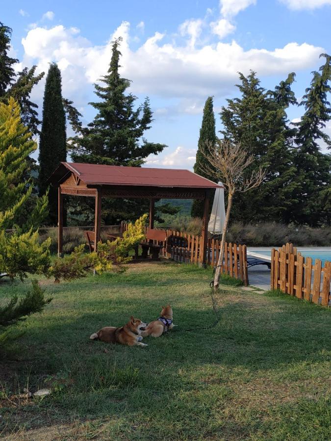 Agriturismo La Provenca Chianciano Terme Buitenkant foto