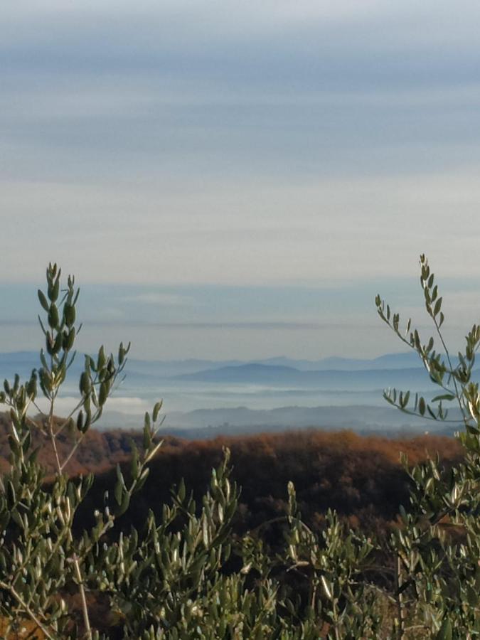 Agriturismo La Provenca Chianciano Terme Buitenkant foto