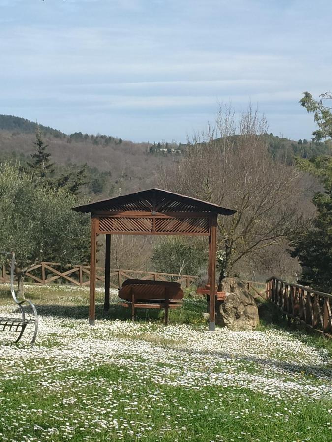 Agriturismo La Provenca Chianciano Terme Buitenkant foto