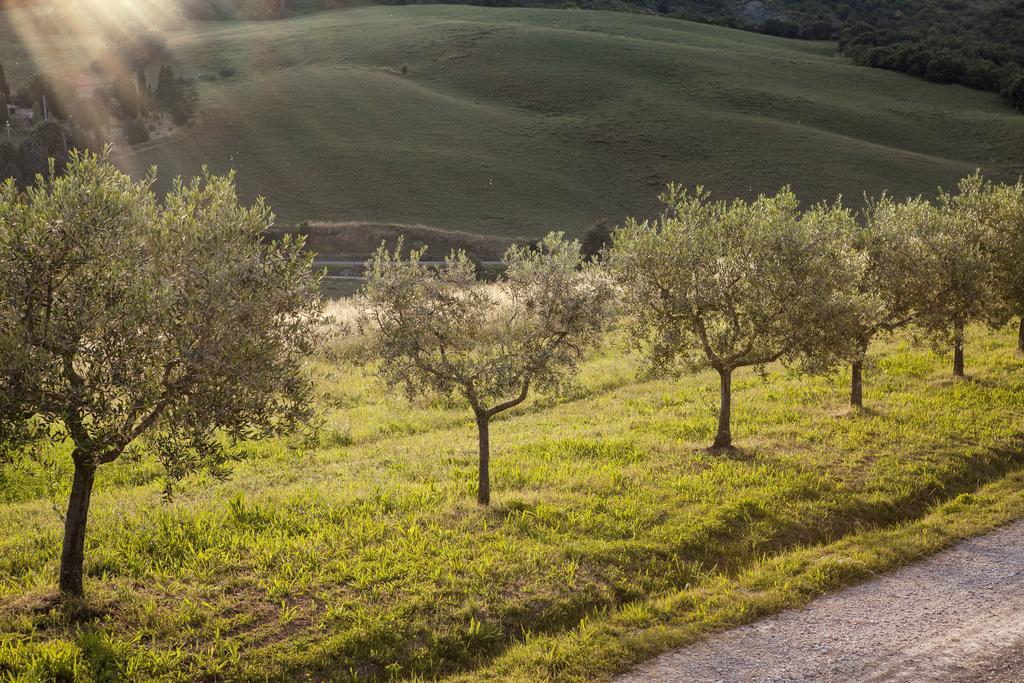Agriturismo La Provenca Chianciano Terme Buitenkant foto